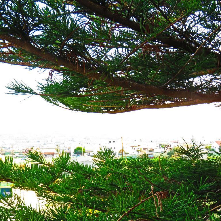 Frosso'S Apartments Kokkini Hani Buitenkant foto